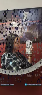 C38FFF83-A623-4566-BFFB-106D38B5A402.webp
